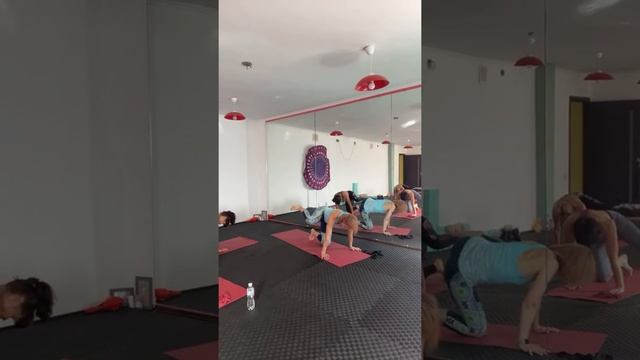 #Практика йоги для +/- #новичков. Мягкая #разминка и #подготовка к #каундиниасане 29.08.22 смотреть онлайн
