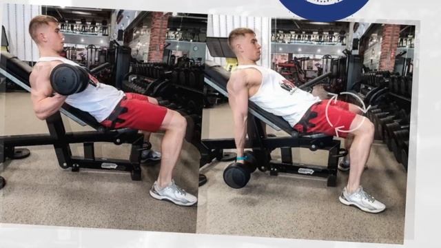 Подъем гантель на бицепс сидя на наклонной скамье, почему это лучшее упражнения на руки смотреть онлайн