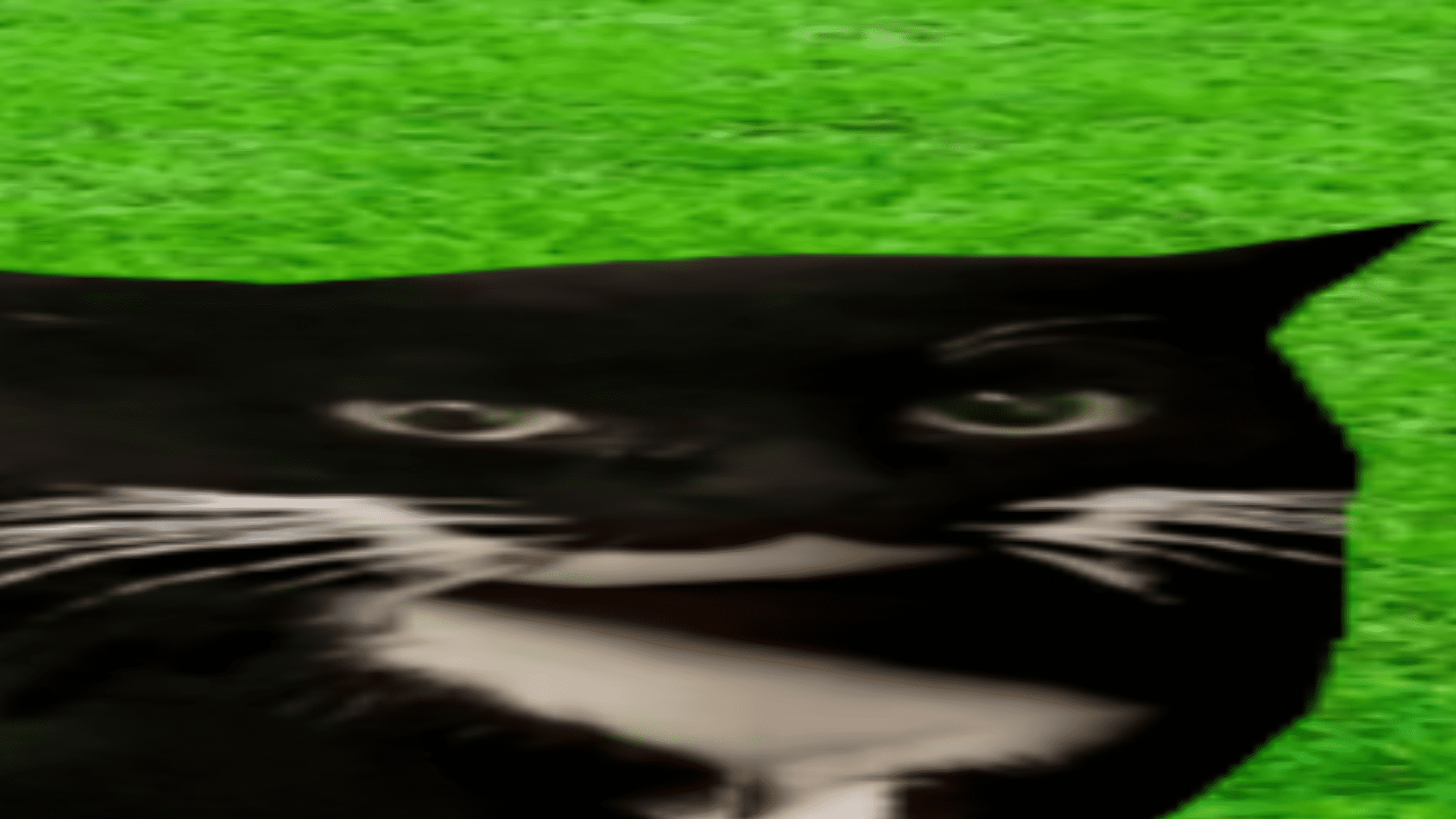 Maxwell в разных местах