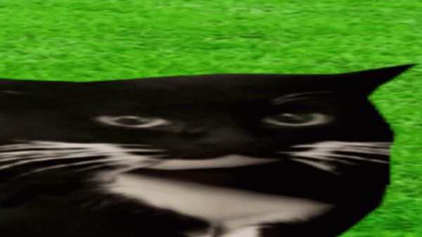 Maxwell в разных местах