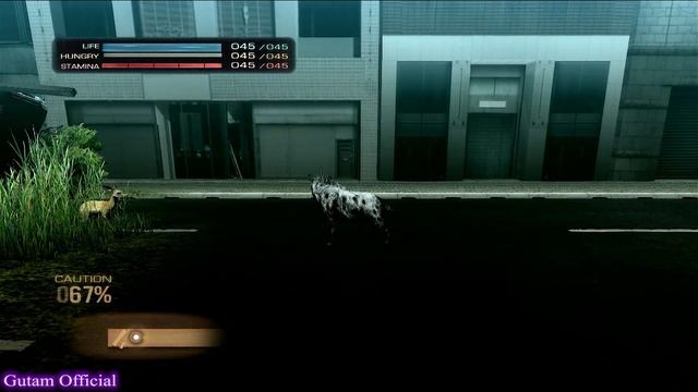 Tokyo Jungle PKG PS3 смотреть онлайн