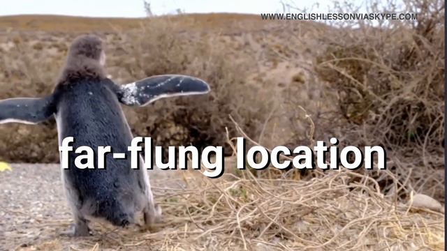 MUST KNOW Collocations about TRAVEL | B2/C1 English collocations смотреть онлайн