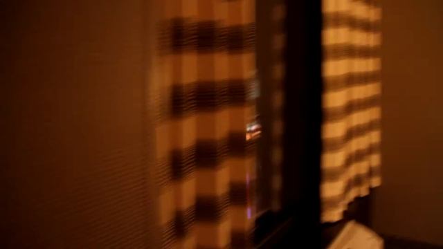 Первые эмоции от Лас-Вегаса - Valet2, 2012 смотреть онлайн