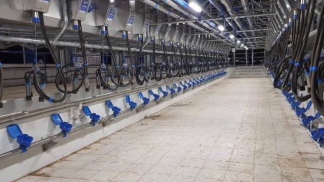 Все для молочных товарных ферм в Казахстане смотреть онлайн