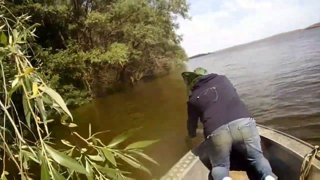 В поисках сома. Часть 3. смотреть онлайн