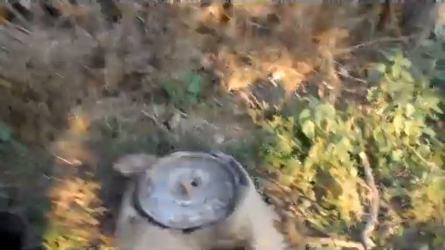Обжиг глины простым способом смотреть онлайн