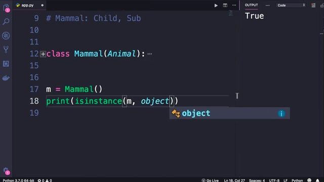 Python for Beginners: The Object Class смотреть онлайн