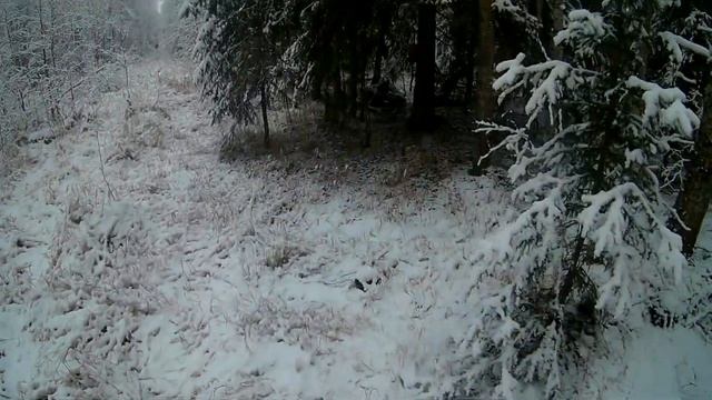 ОХОТА НА СОБОЛЯ. Серия №1. Начало / SABLE HUNTING. Series No. 1. Start смотреть онлайн