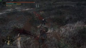 ТОП 3 ОТЛИЧНЫХ МЕСТ НА ФАРМ РУН В ELDEN RING