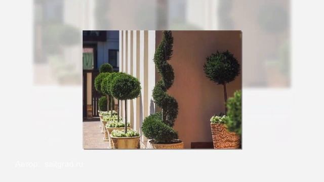 «Villa Sofia» МИНИ-ГОСТИНИЦА. ? Геленджик отдых недорого. Геленджик жилье для отдыха с бассейном смотреть онлайн