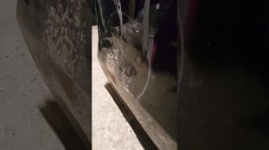 Дверь задняя левая Nissan TERRANO D10