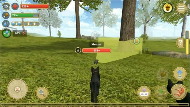 СИМУЛЯТОР КОТА И КОШКИ #3. Хитрая мышь и амбар с золотом смотреть онлайн