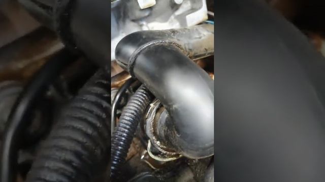 Фольксваген пассат Б5 номер двигателя