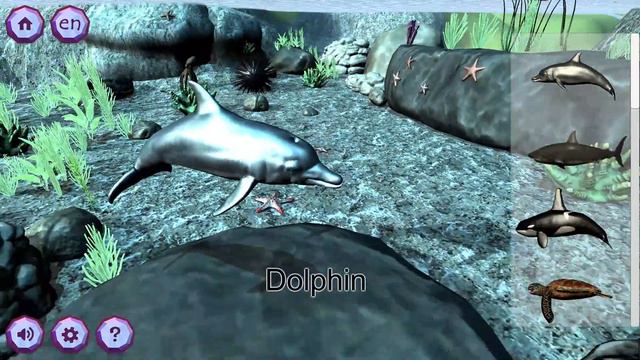 Zookidi-3D: Interactive Animal And Zoo-tour Game