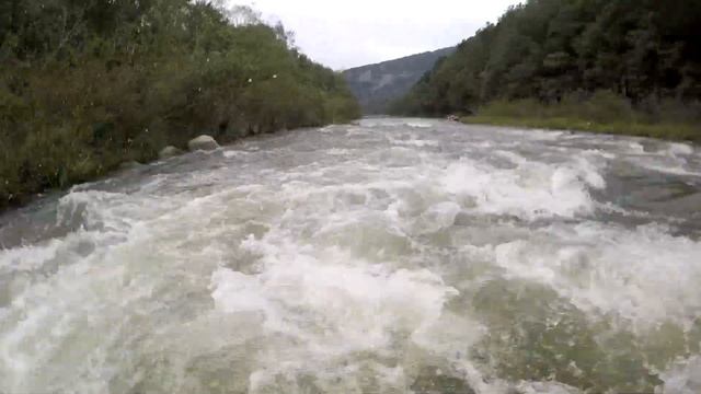 Сплав р Тигровая смотреть онлайн