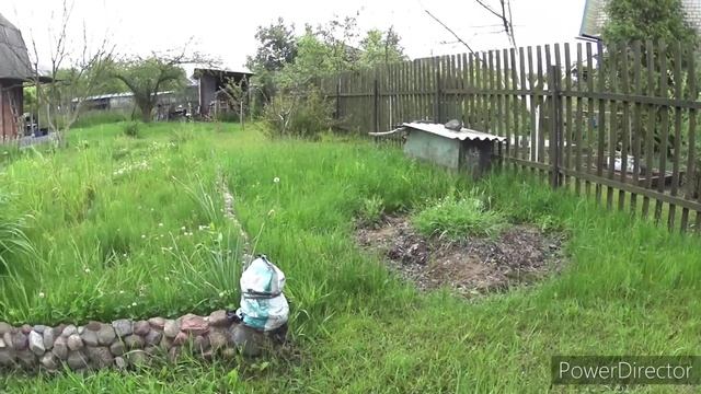 Добрым людям спасибо большое. Сегодня на даче.Vlog.Брест