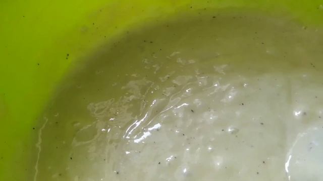 Гастрономический Разгул