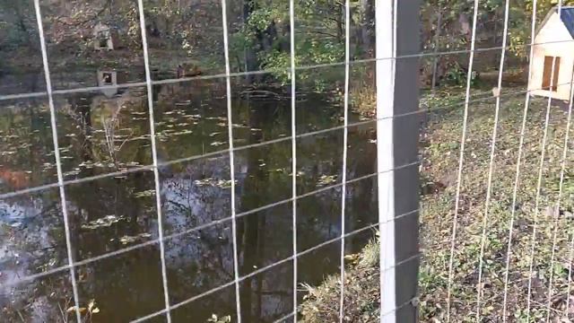 Усадьба Фета 1 часть смотреть онлайн
