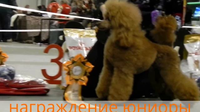 Воспоминание ..дельта-пал 2014ноябрь смотреть онлайн