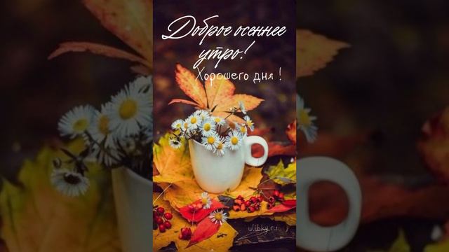 Доброго осеннего утра ☀️ Прекрасного настроения и чудесного дня 🍂🍁🍃 смотреть онлайн