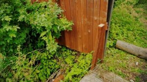 У вас появилась дача? С чего начать?