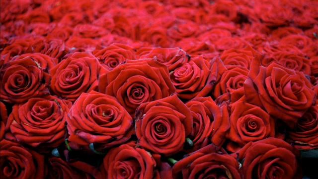 Музыка:Black Bacardi;Одуванчик;Любовь по-белорусски;Подземка смотреть онлайн