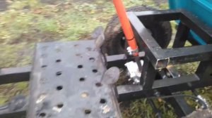 Мотоблок Тускар с передним Адаптером АК 1