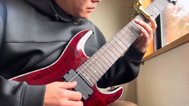 【世界一眠たくなるリバースディレイソロギター132】SleepyReversedelay Sologuitar【SCHECTER HELLRAISER C-8,8stringguitar,8弦ギター смотреть онлайн