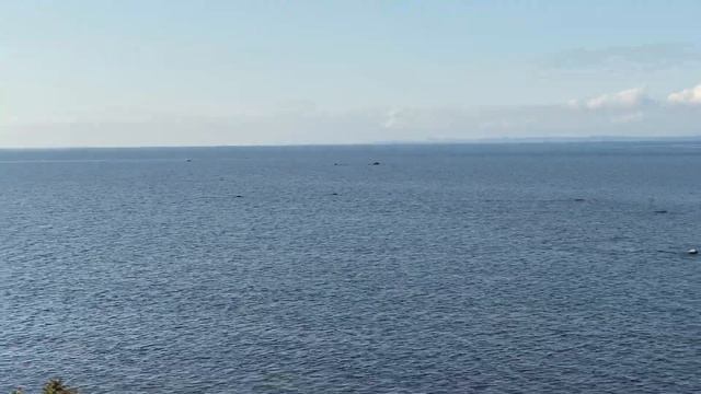 форт Риф Кронштадт смотреть онлайн