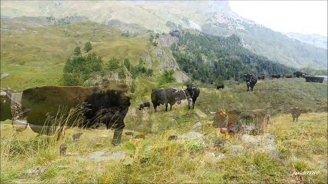 SWITZERLAND CRANS MONTANA AMINONA GRANDEUR NATURE 2017 смотреть онлайн