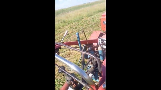 Лето ,сенокос смотреть онлайн