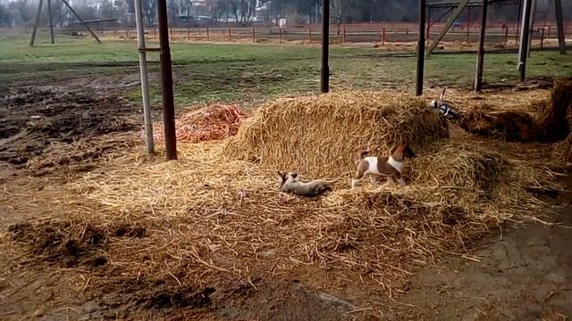 Когда поняли что снимают на камеру