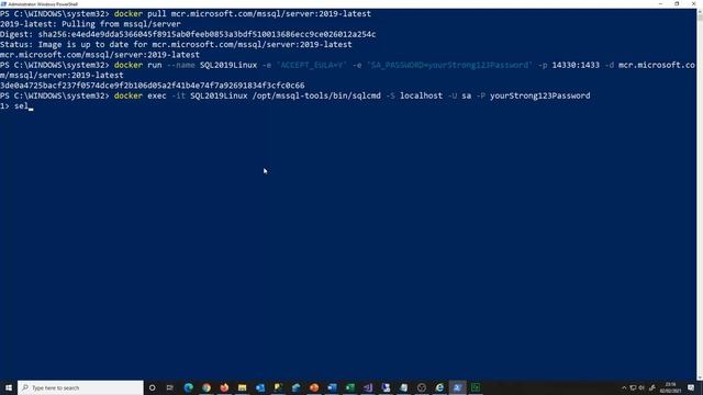 Guide to SQL Server Linux on Windows with Docker смотреть онлайн
