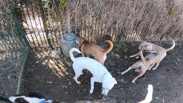 Blue Ivy, Fjord, Mosey, and JK Simmons! смотреть онлайн