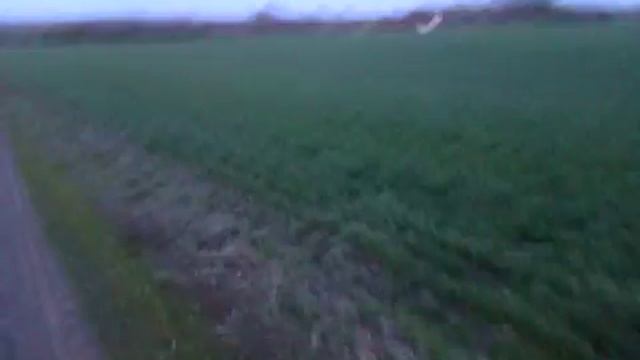 Когда нужно садить лук смотреть онлайн