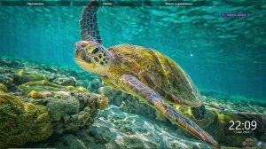 Гайд типа по установке OP-2 OGSR + правки если они вам нужны.