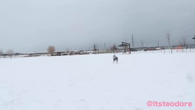 How to use SPROCKET ROCKET for Beginners w/pictures смотреть онлайн