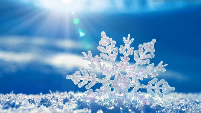 Урок 19 Природознавство 1 клас. Яке значення має вода?