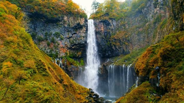 Прекрасный водопад среди буйной зелени и пение птиц для учебы, отдыха и медитации. смотреть онлайн