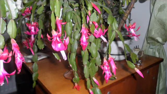 помним, любим, скорбим смотреть онлайн