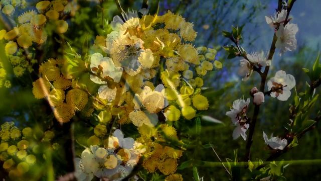 Бриз и поющие чаши.Медитация. Музыка для снятия стресса.Поющие чаши.Звуки Солнца и морского бриза. смотреть онлайн