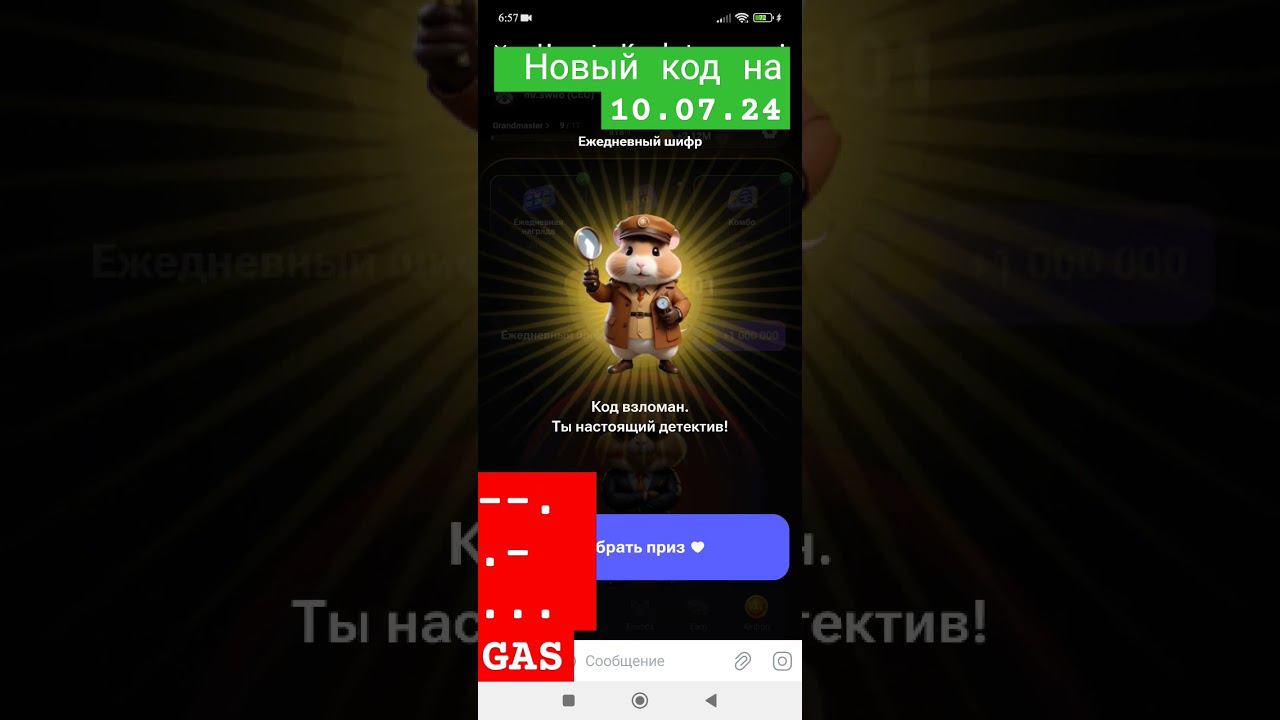 шифр Hamster Combatна 10.07.24#mrswiro #hamsterkombat #hamsters  #hamstercombat #хомяк #майнинг #код