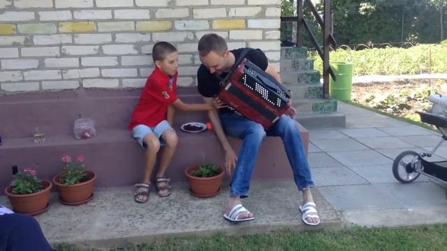 Баянист, тамада! смотреть онлайн