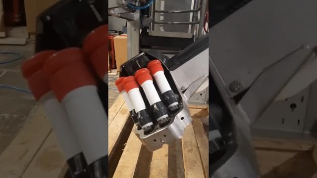 Робот Lely (Лели)