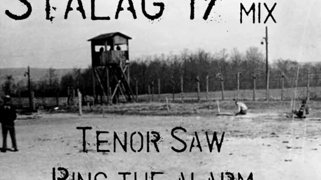 Stalag 17 Riddim Mix смотреть онлайн