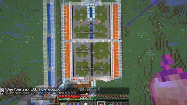 Azalia farm on Constantiam смотреть онлайн