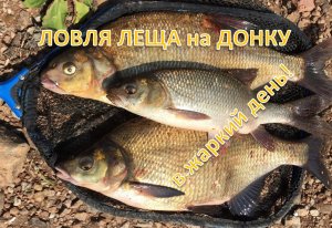 донки крокодил, рыбалка на сало, путешествие, снасть на леща, лещ на донку, рыбалка на леща, донка