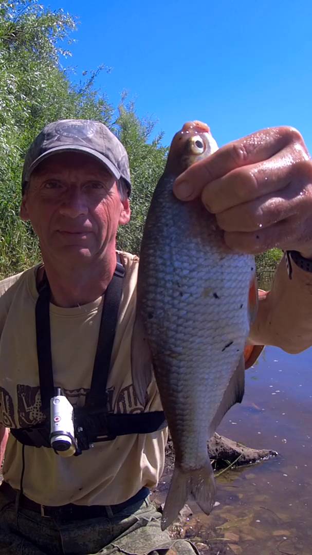 С ТАКОЙ ГУСТЕРОЙ И ПОДЛЕЩ НЕ НУЖЕН. смотреть онлайн