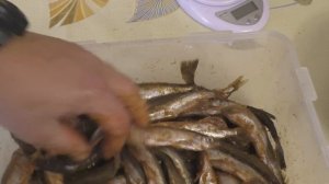 Вяленая мойва, как засолить и завялить рыбу зимой в домашних условиях, закуска к пиву из мойвы.
