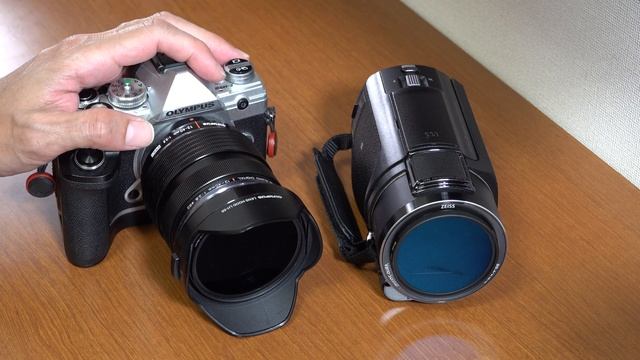 [4K]【ビデオカメラと一眼カメラ撮り比べ】FDR-AX45とE-M5 Mark III / 和泉リサイクル環境公園　ひまわり畑　#ax45 #em5iii #sony #omsystem смотреть онлайн